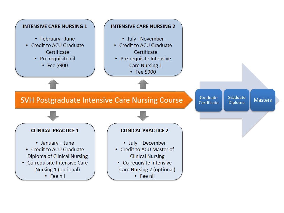 2023 Intensive Care Nursing St Vincent's Hospital Sydney